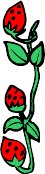 plant168.WMF