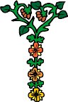 plant103.WMF