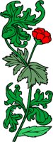 plant091.WMF
