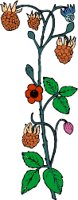 plant090.WMF