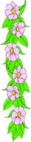 FLOWERG.WMF