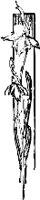 CC003977.WMF