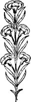 CC003872.WMF