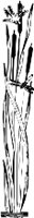 CC003867.WMF
