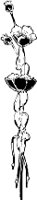 CC003858.WMF