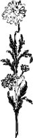 CC001447.WMF