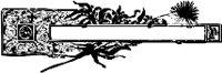 CC000986.WMF