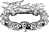 CC000590.WMF