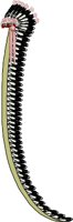 10STRIP.WMF