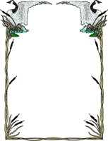 CATTAIL.WMF