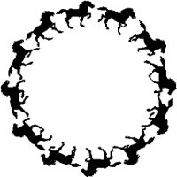 CC000426.WMF