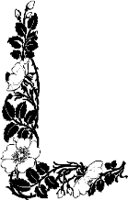 CC003864.WMF