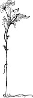 CC001225.WMF