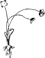 CC001220.WMF