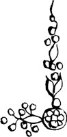 CC000712.WMF