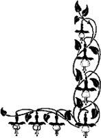 CC000621.WMF