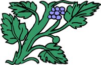 plant212.WMF