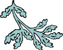plant074.WMF