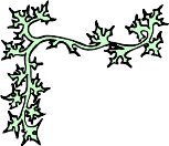 plant004.WMF