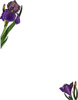 FLORAL2.WMF