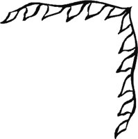 CRNRN252.WMF
