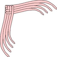 CRNRC492.WMF