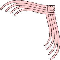 CRNRC490.WMF