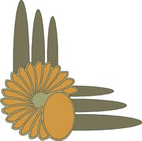 CRNRC351.WMF