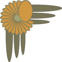 CRNRC349.WMF