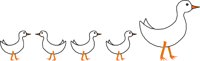 CBIRD017.WMF