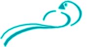 BIRD4.WMF
