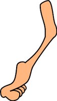 FOOT03.WMF