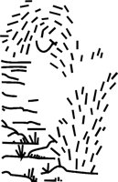 CMISC046.WMF