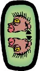 SY11761.WMF