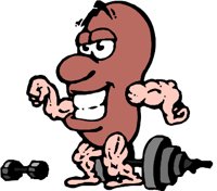 BODYBEAN.WMF