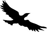 Seagull.WMF