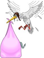 STORK.WMF