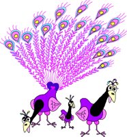 Pfau_02.wmf