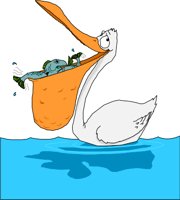 PELICAN.WMF