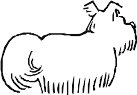 CDOG011.WMF
