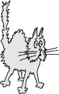CCAT037.WMF