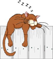 CATFENCE.WMF