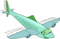 FLYFISHC.WMF