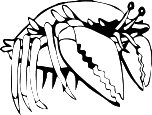 Snapper.WMF