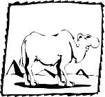 Camelb.WMF