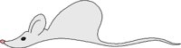 CMOUS004.WMF