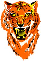 CCAT008.WMF