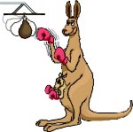 BOXKANGA.WMF