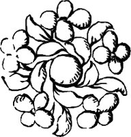 CC004209.WMF