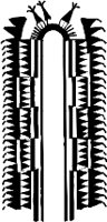 CC003120.WMF